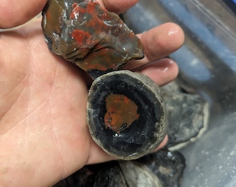 1lb Wholesale Rough Black and Red Agate, Old Stock, Bloodstone? Thunderegg?