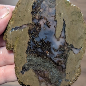 May include: A slice of agate with a brown, gray, and white pattern. The agate has a natural, rough edge.