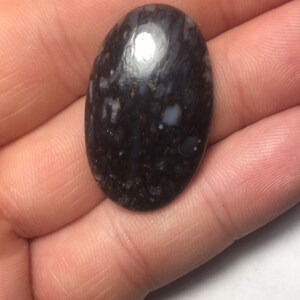 Dinosaur Bone Cabochon 32cts