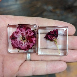 Rose Flower  - &quot;Forever Flowers&quot; - Flower Preserved in Resin