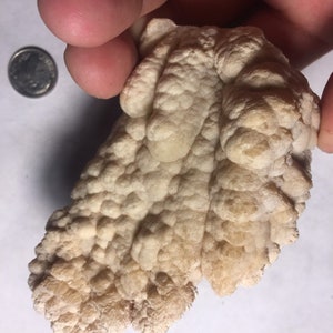El ejemplar de ónix de cueva de California de Kokoweef de colores extraños se mantiene de pie