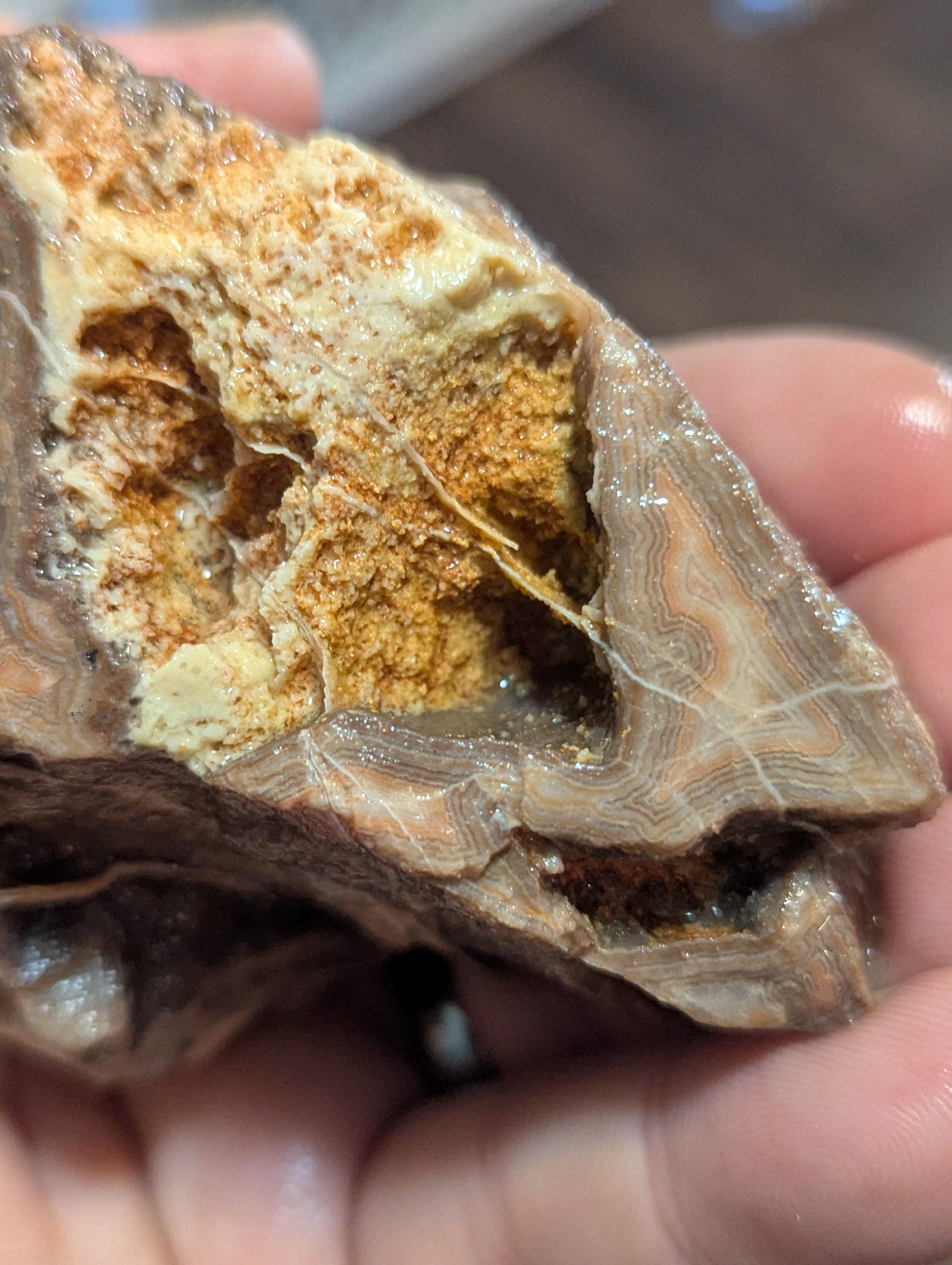 素敵な模様と縞模様、ジョージア州サマービル産の大きなクレイジー