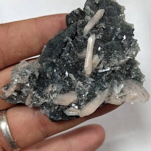 May include: A cluster of white and pink crystals on a dark green and black matrix. The crystals are sharp and pointed, and the matrix is rough and textured.