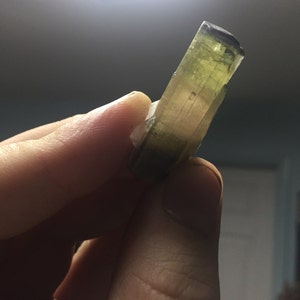 11.2g Tricolor Tourmaline Crystal