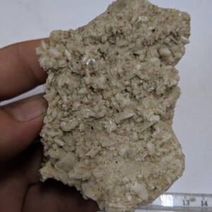 May include: A close-up of a rough, light brown rock with white crystals embedded throughout. The rock is about 13 cm long and 8 cm wide.