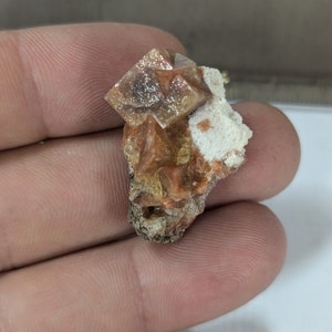 May include: A small cluster of orange and brown crystals on a white matrix. The crystals are translucent and have a glassy luster.