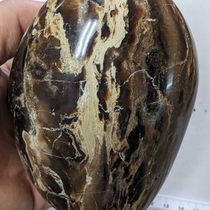 May include: A smooth, polished, brown and white agate stone with a unique, swirling pattern. The stone is oval-shaped and has a glossy finish.