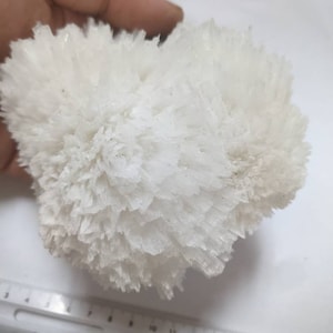Scolecite Cluster, Large Puff Ball 1.3lbs