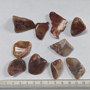 10pcs Polished Yellow and Red Paint Rock Agates from Alabama