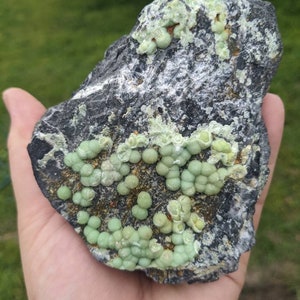 Puede incluir: Primer plano de una roca gris oscura con grupos de pequeñas formaciones minerales redondas de color verde claro.