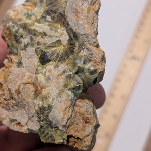 Puede incluir: Primer plano de una roca con cristales verdes y negros. Los cristales están dispuestos en un patrón circular, que se asemeja a una flor.