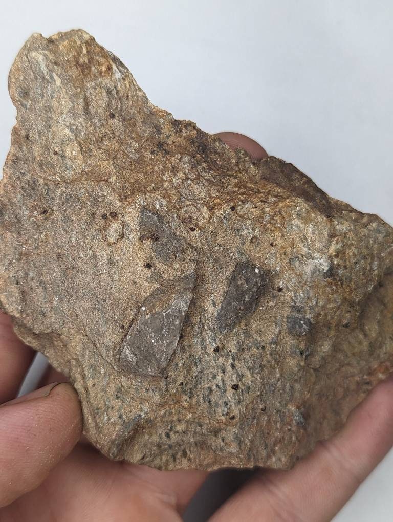 Cross Rocks Staraulite Fairy Cross Stones, Staurolite, in Matrix W Garnets, Virginia - Etsy