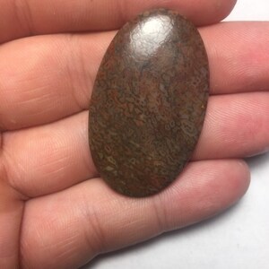 Dinosaur Bone Cabochon 46cts