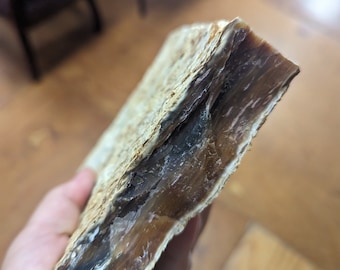 Huge 5.6lb Montana Agate Petrified Wood Rough Stone for cutting