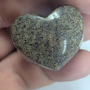 May include: A heart-shaped piece of petrified wood with a brown and black pattern.