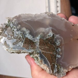 Pink/Purple Agatized/Opalized Geode or Petrified Wood?? Big 2lb