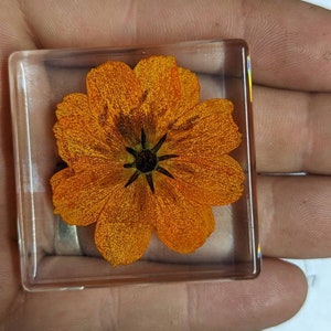 May include: A single orange flower pressed and preserved in a clear square resin block.