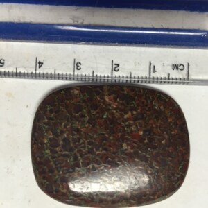 Red Square 12g Dinosaur Bone Cabochon