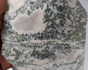 May include: A large, flat piece of green and white agate with a swirling pattern. The agate has a light pink center and is speckled with dark green.