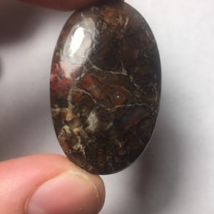 Dinosaur Bone Cabochon 57cts