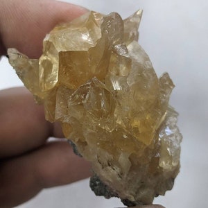 Fossil Clamshell w Calcite Crystal Growth, Rucks Pit Fl