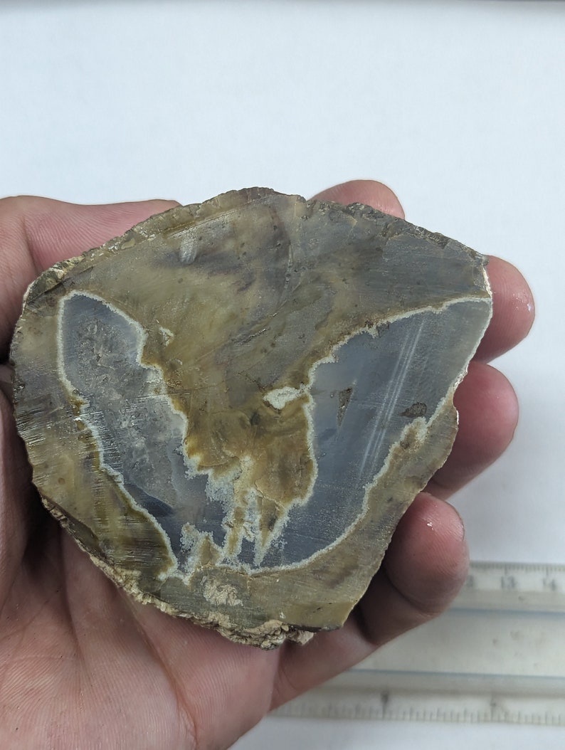Large ThunderEgg Agate Crystal Geode image 3