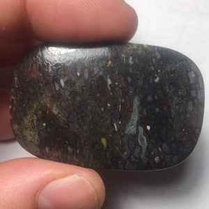 Large Dinosaur Bone Cabochon 97cts