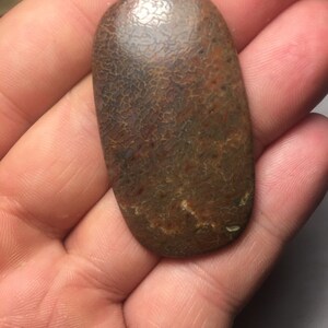 Big Dinosaur Bone Cabochon 69cts