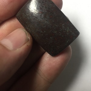 Dinosaur Bone Cabochon