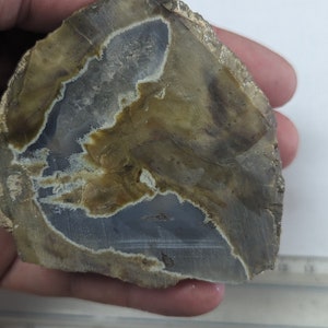 Large ThunderEgg Agate Crystal Geode image 4