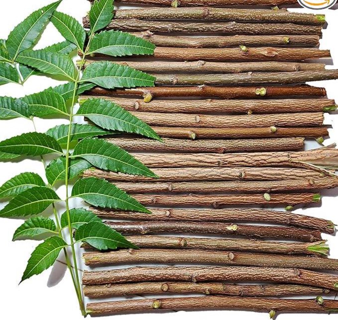 Datun Sticks Neem Datun Toothbrush Sticks for Teeth | 100% Natural, Eco-friendly ...