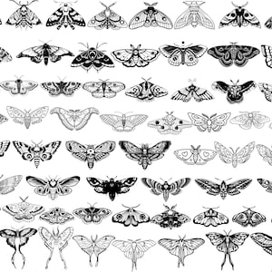 May include: A collection of detailed black and white moth illustrations. The moths vary in size and design, showcasing intricate wing patterns and body details. The image is a graphic design featuring various moth species.