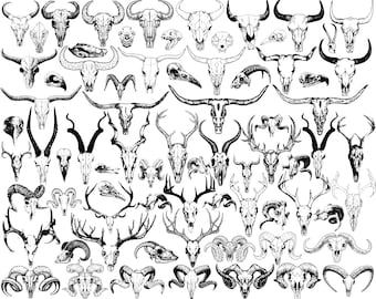 SVG File. 74 Skull Bull Longhorn Deer Ram Antelope Cow Crow Goat Eagle Cat Animal | Instant Download | Cricut Vector Svg Png