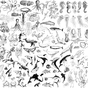 May include: A detailed black and white illustration featuring a variety of marine life. The image includes octopuses, seahorses, jellyfish, whales, sharks, and other sea creatures. The artwork is a collection of detailed drawings of various ocean animals.