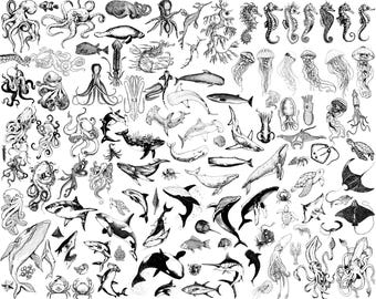 SVG File 110 Sealife Ocean Animals Marine Life Octopus Dolphin Whale Turtle Seahorse Crabs Jellyfish Cricut | Instant Download | Svg Png