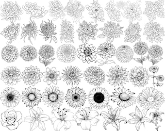 SVG File. 47 Flowers Chrysanthemum Dahlia Zinnia Peonia Marguerite Lys Lilies Tulip Rose Mega Pack | Instant Download | Cricut Vector