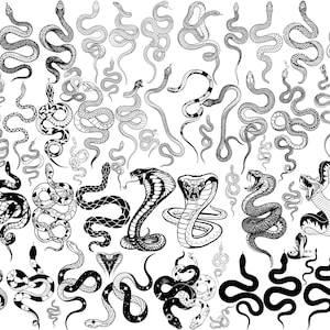 Fichier SVG. 61 fichier SVG mystique serpent serpent roi cobra python boa vipère mega pack, laser, art mural hd | Cricut | vectorielle | Ensemble SVG PNG