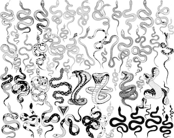 SVG File. 61 Snake King Cobra Python Boa Serpent Viper Mystical SVG file Mega Pack, Laser, Wall Art hd | Cricut | Vector | Svg Png Bundle