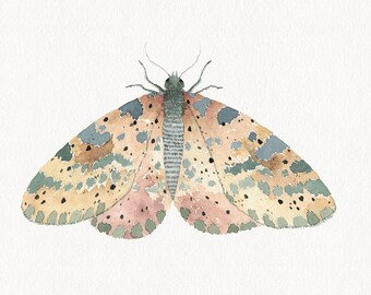 Original Moth Painting,  Watercolor Fine Art, OOAK, Butterfly Art, Nursery Decor