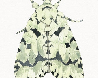 Original Moth Painting,  Green Marvel Moth Watercolor Fine Art, OOAK, Butterfly Art, Nursery Decor