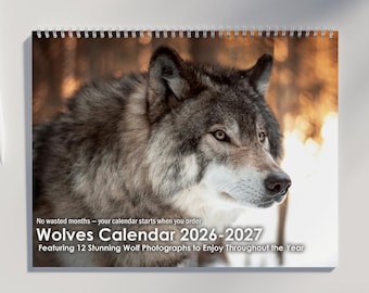 Wolves Calendar 2026 2027 | Wildlife Calendar Featuring Stunning Wolf Photography & US Holidays Marked | Wolves Wall Calendar | Wolf Gifts