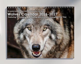 May include: A spiral-bound calendar featuring a close-up image of a wolf's face. The calendar is titled "Wolves Calendar 2026-2027" and includes the text "Featuring 12 Stunning Wolf Photographs to Enjoy Throughout the Year."