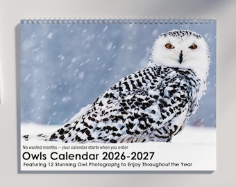 Owl Calendar 2026 2027 | Wildlife Calendar Featuring Stunning Owls Photography & US Holidays Marked | Owl Gifts | Owl Wall Calendar