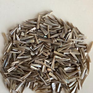 May include: A pile of iridescent, elongated shell pieces. The shells are primarily shades of brown and tan, with hints of pearlescent white and gray. The pieces are irregularly shaped and appear to be natural.