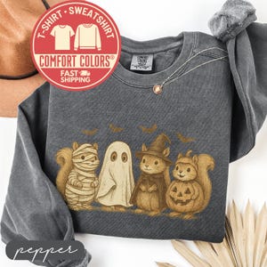 May include: A dark gray Comfort Colors sweatshirt featuring a Halloween-themed graphic. The design includes four cartoon squirrels dressed as a mummy, ghost, witch, and jack-o'-lantern. The shirt also has a red circular logo with text.