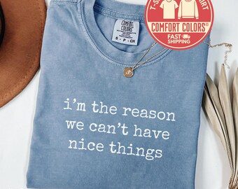 Comfort Colors® I'm The Reason We Can't Have Nice Things Shirt Funny Sister Tee Sarcastic Sister Gift Adult Humor Sister's Day Gift for Sis