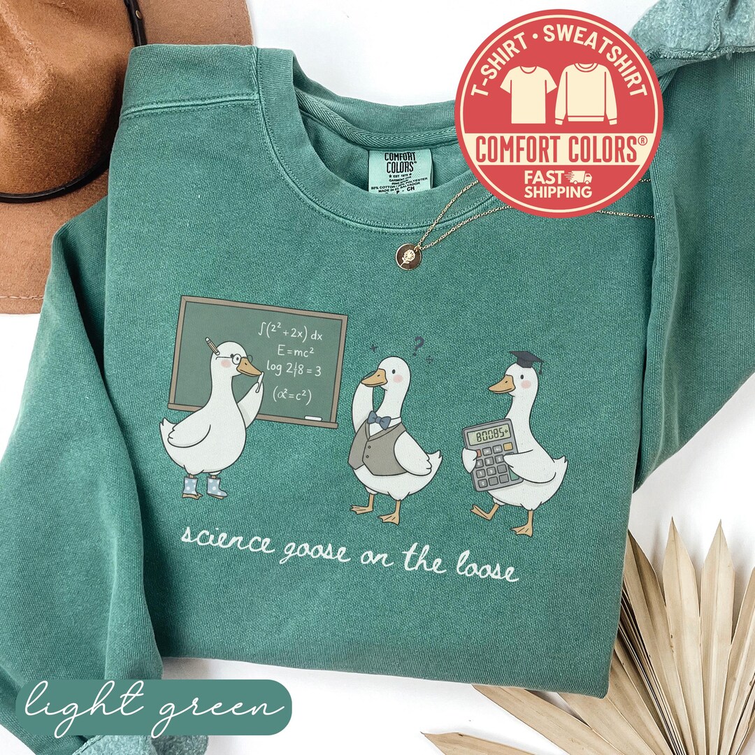 Comfort Colors® Math Teacher Goose Sweatshirt, Funny Goose T-shirt ...