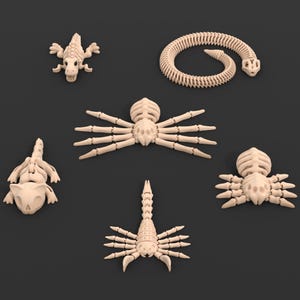 May include: A selection of beige animal skeleton models, including a snake, spider, scorpion, and two types of lizards. The models are displayed on a dark grey background, highlighting their detailed skeletal structures.