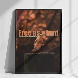Free as a Bird, Botanical Bird Poster, Botanical wall art Set, Vintage Poster, Custom Text Option, A3 Poster, Retro Nature Print