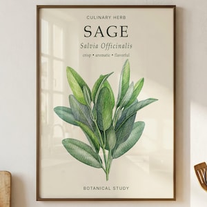 May include: A framed botanical wall art print featuring a watercolor illustration of green sage leaves. The text reads CULINARY HERB, SAGE, Salvia Officinalis, crisp, aromatic, flavorful, and BOTANICAL STUDY. The print has a light cream background.